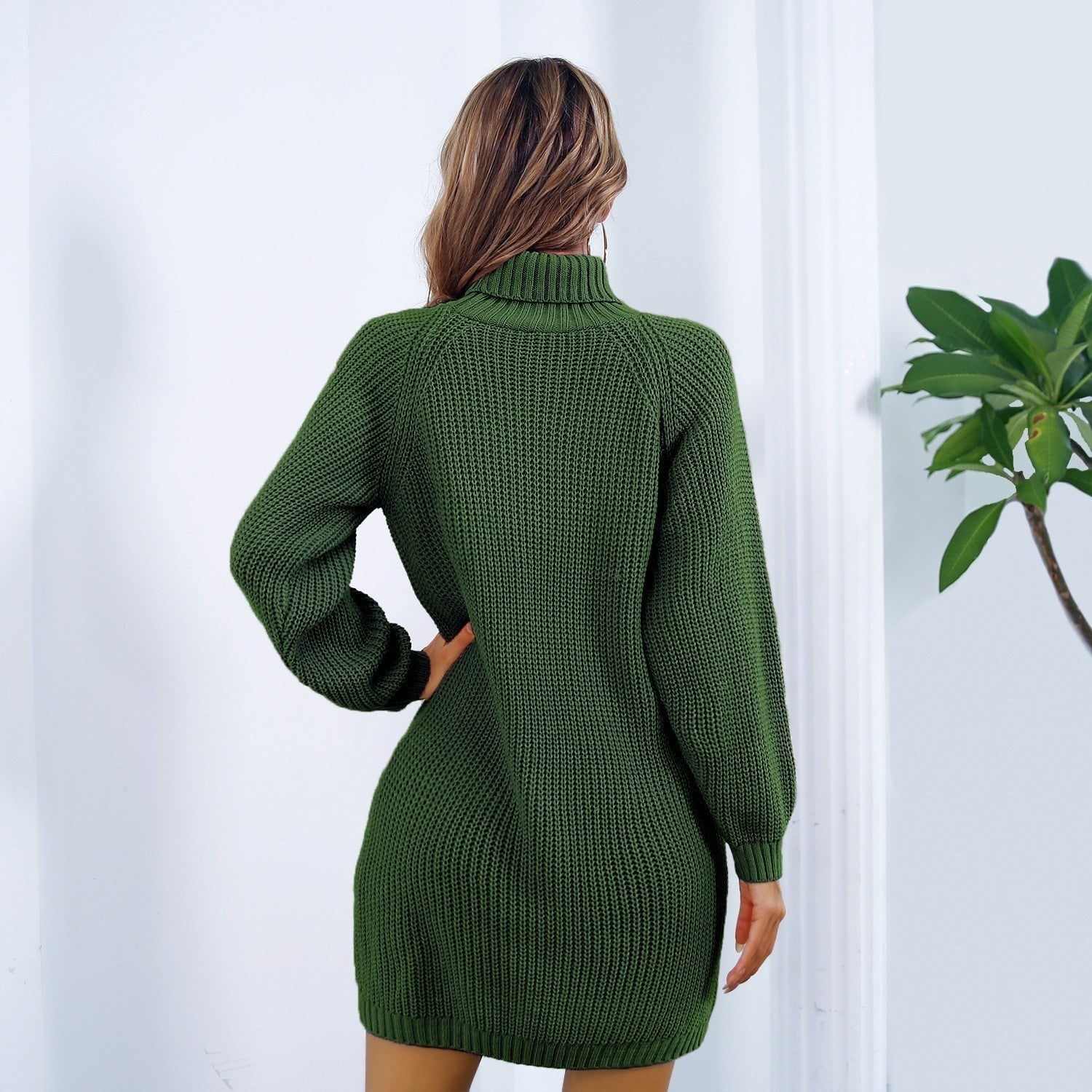 Cecily Button Turtleneck Knit Dress